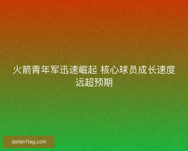 火箭青年军迅速崛起 核心球员成长速度远超预期