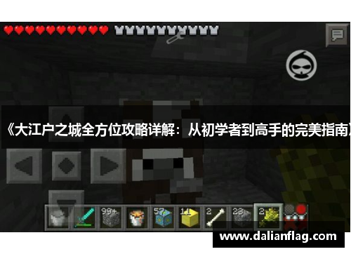 《大江户之城全方位攻略详解：从初学者到高手的完美指南》